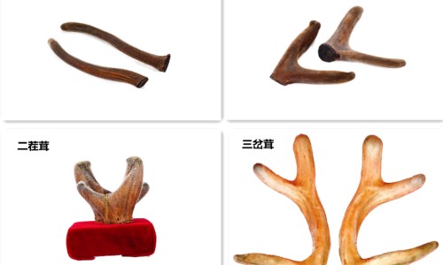 新生儿tsh偏高会自愈吗-婴儿tsh偏高的早期症状-新生儿tsh偏高会自愈吗,中国是什么导致婴儿tsh偏高网站
