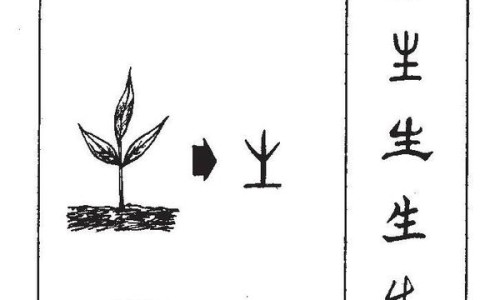 新生儿tsh偏高的临床症状-婴儿tsh偏高的早期症状-新生儿tsh偏高会自愈吗,中国是什么导致婴儿tsh偏高网站
