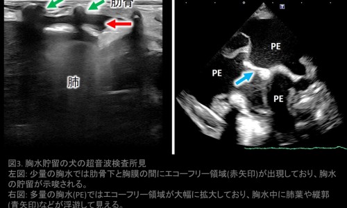 新生婴儿tsh偏高能治疗的好吗-婴儿tsh偏高的早期症状-新生儿tsh偏高会自愈吗,中国是什么导致婴儿tsh偏高网站